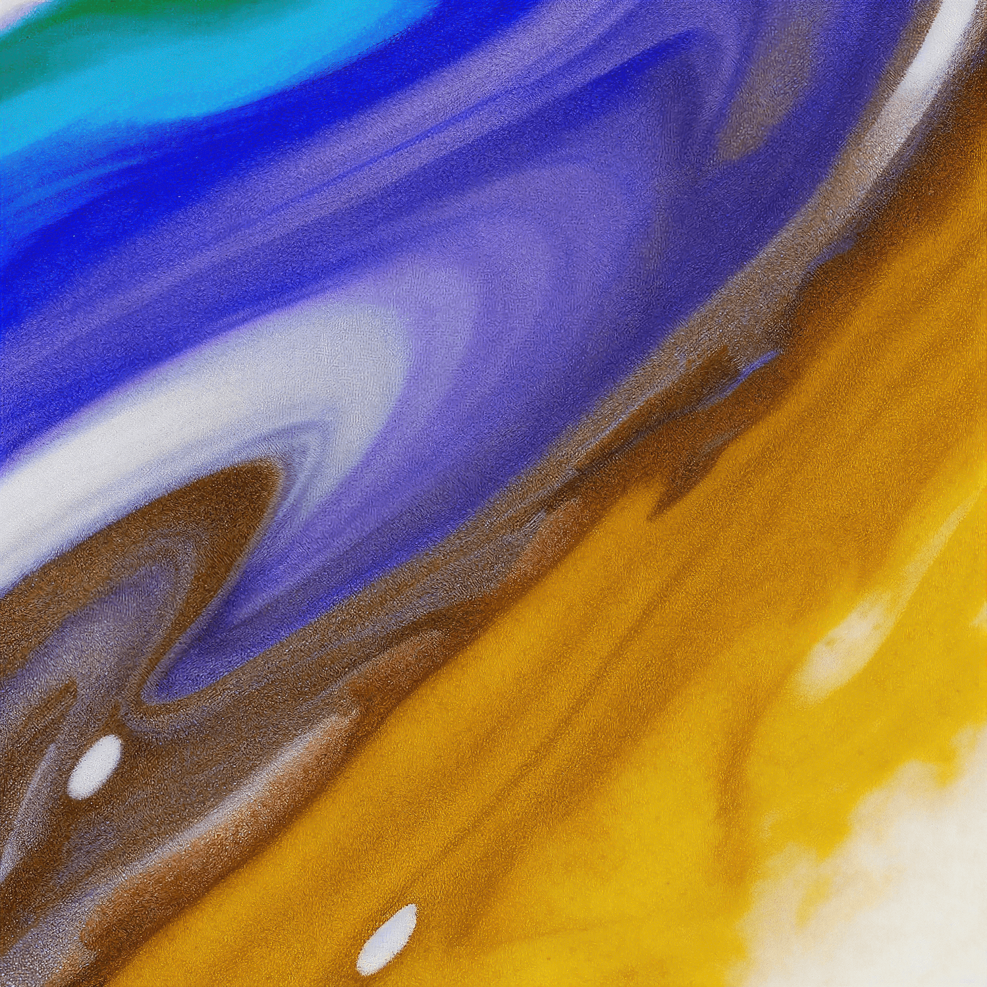 SEO & Website Audits